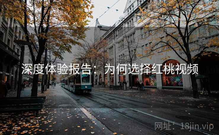 深度体验报告:为何选择红桃视频