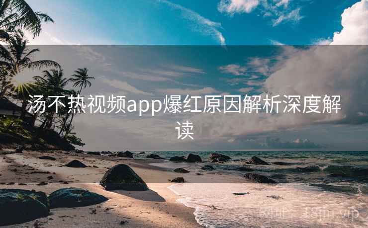 汤不热视频app爆红原因解析深度解读