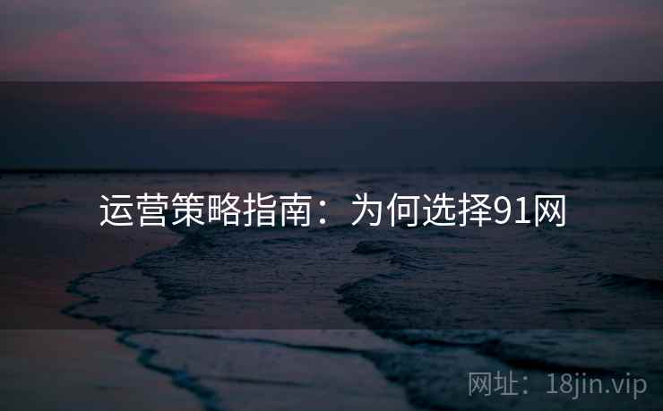 运营策略指南:为何选择91网