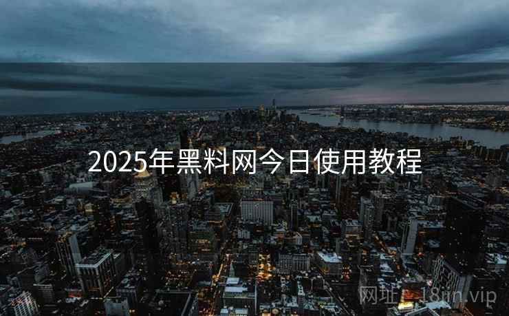 2025年黑料网今日使用教程