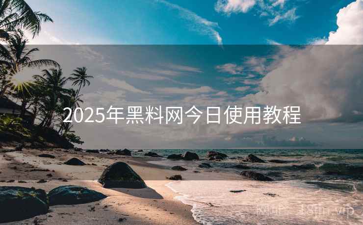 2025年黑料网今日使用教程