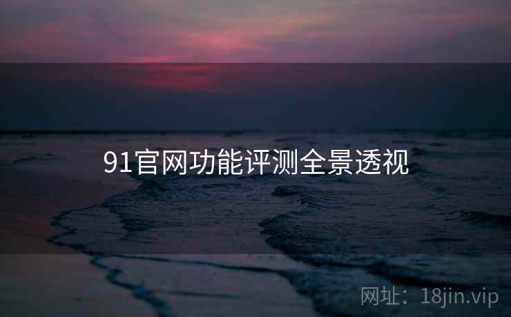91官网功能评测全景透视
