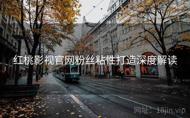 红桃影视官网粉丝粘性打造深度解读