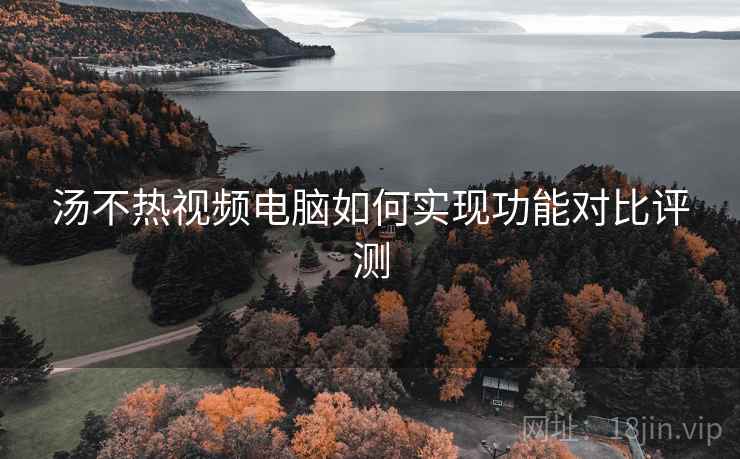 汤不热视频电脑如何实现功能对比评测